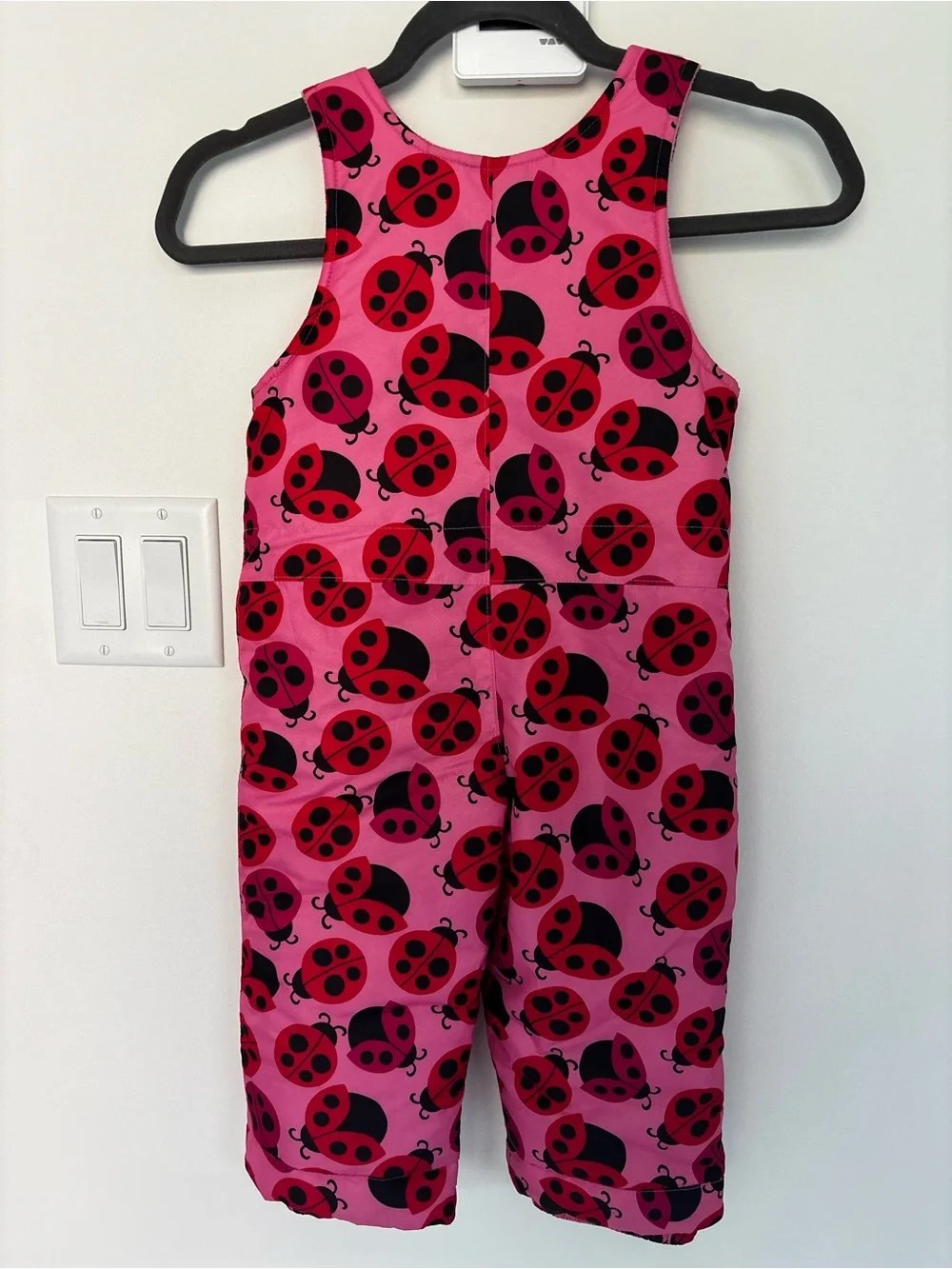 The Children's Place Pink Fleece Snow Overalls with Ladybug Print
